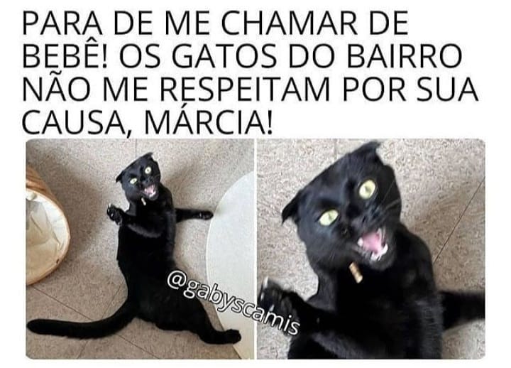 Para de me chamar de bebê! Os gatos do bairro não me respeitam por sua causa, Márcia!