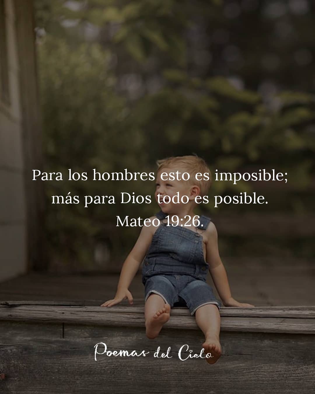 Para los hombres esto es imposible; mas para Dios todo es posible. Mateo.19:26.