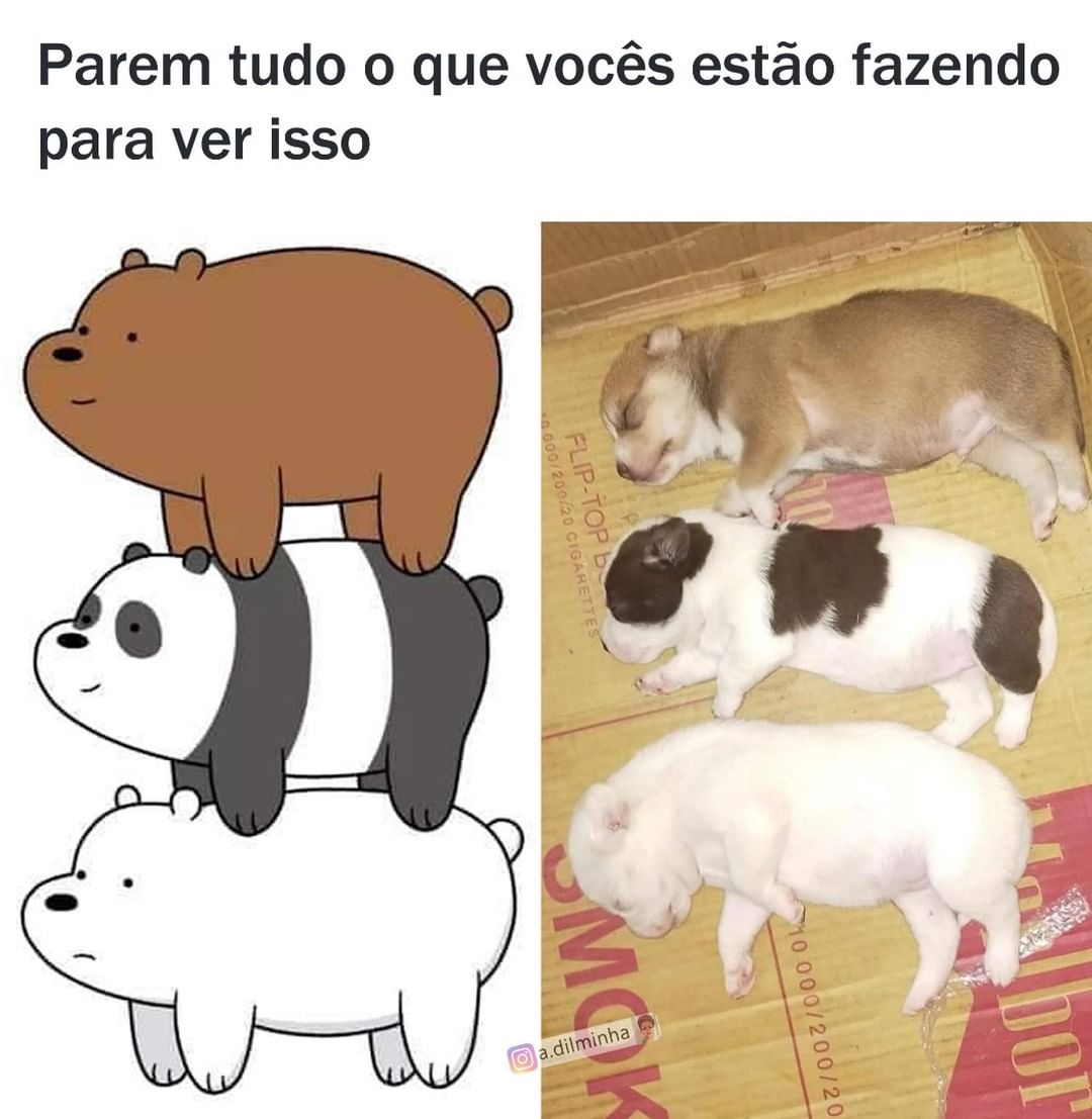 Parem tudo o que vocês estão fazendo para ver isso.