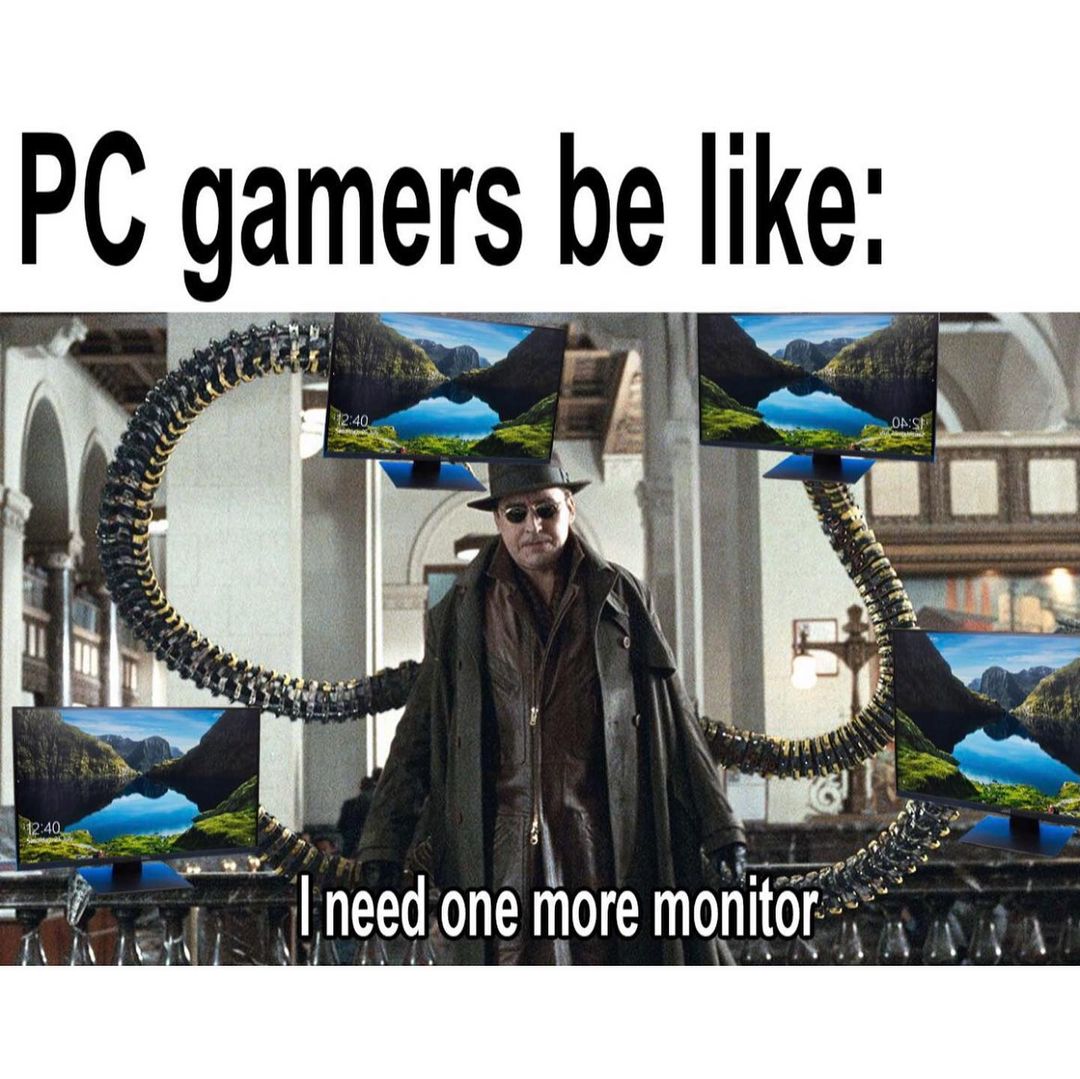 PC gamers be like: I need one more monitor.