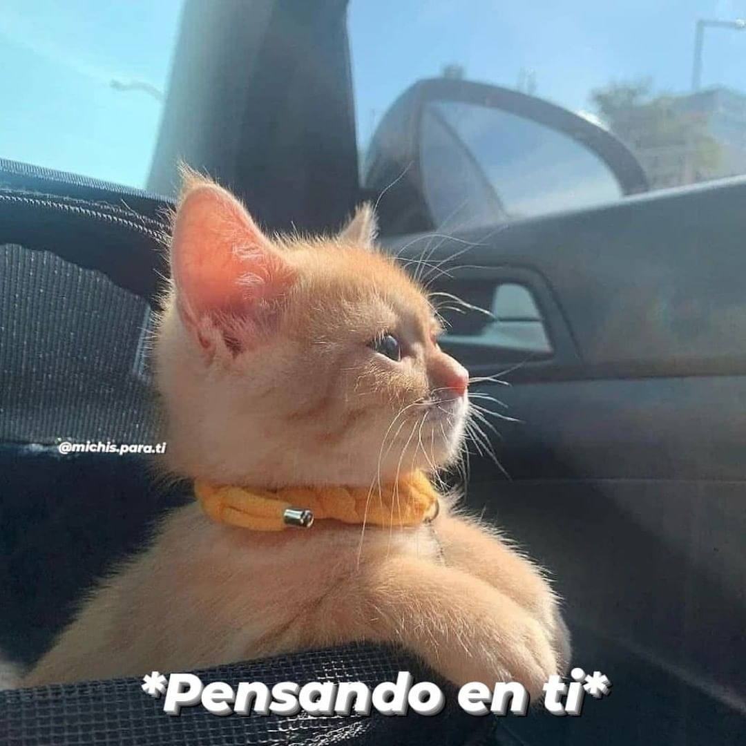 *Pensando en ti*