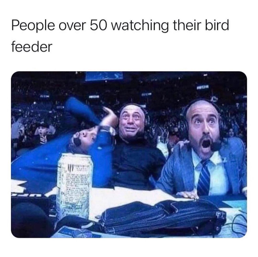 People over 50 watching their bird feeder...