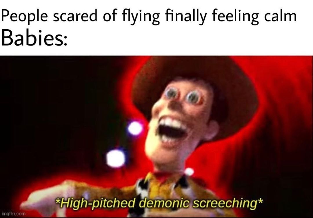 People scared of flying finally feeling calm babies: *High-pitched demonic screeching*