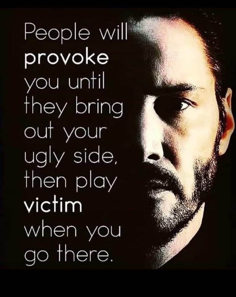 People will provoke you until they bring out your ugly side, then play victim when you go there.