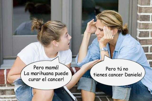 Pero mamá! La marihuana puede curar el cancer!  Pero tú no tienes cancer Daniela!