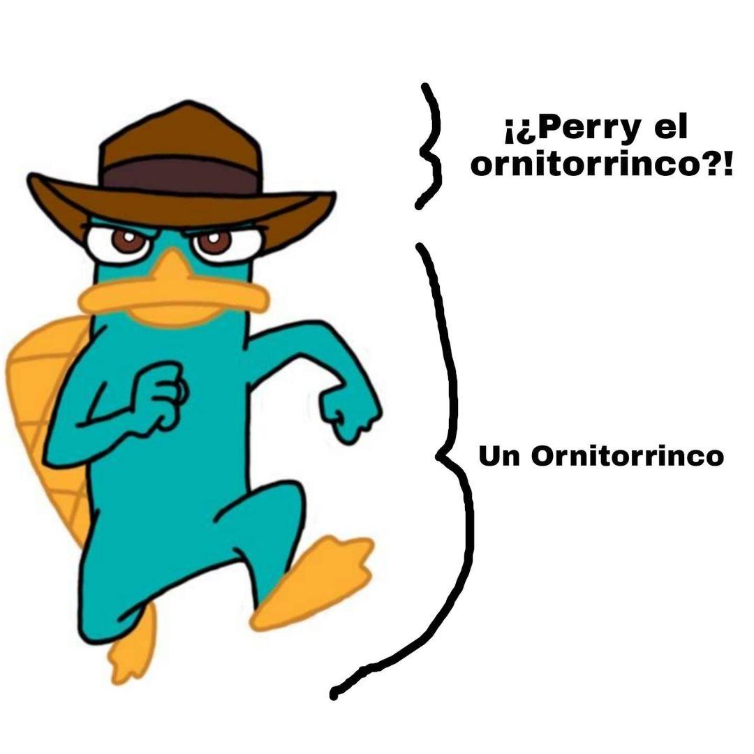 ¡¿Perry el ornitorrinco?!  Un Ornitorrinco.