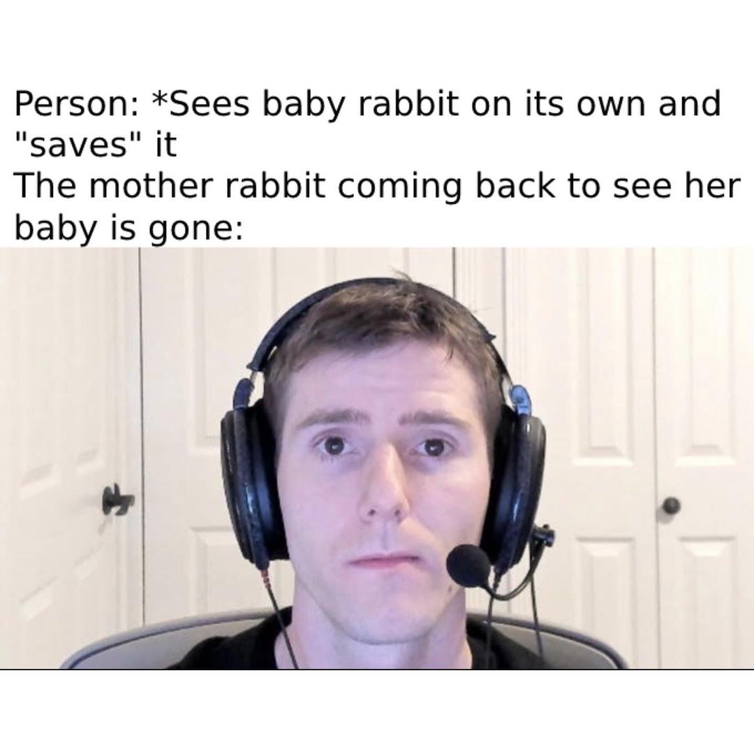 Person: *Sees baby rabbit on its own and "saves" it. The mother rabbit coming back to see her baby is gone: