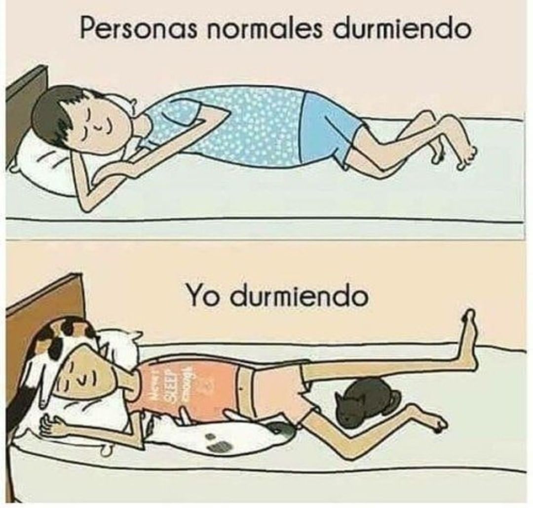 Personas normales durmiendo. Yo durmiendo.