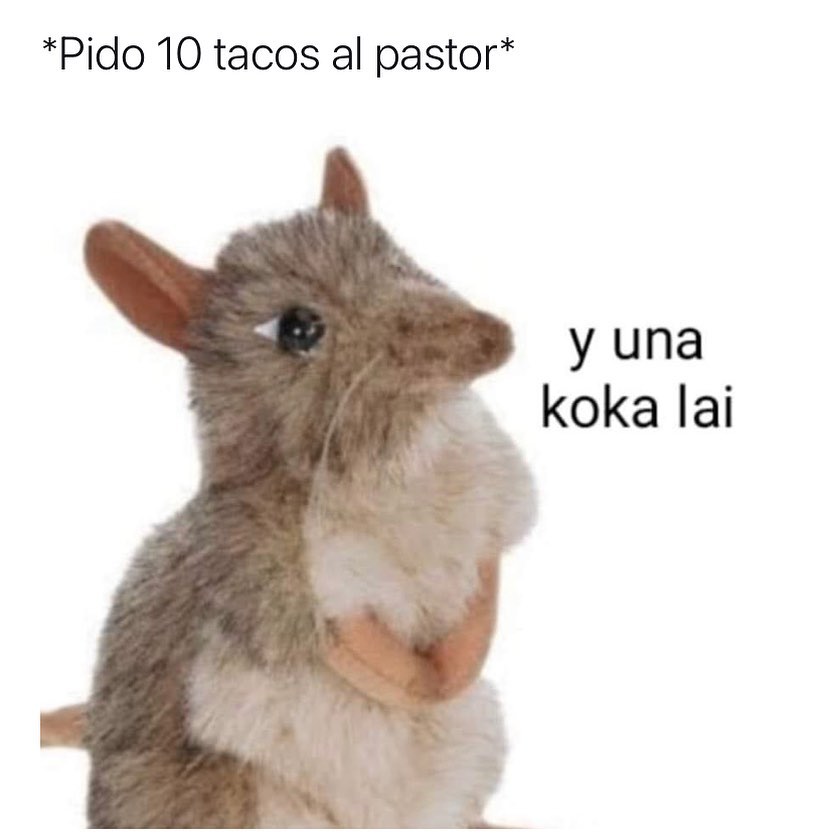 *Pido 10 tacos al pastor* y Una koka lai.
