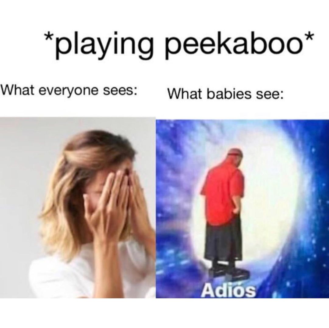 *playing peekaboo* What everyone sees: What babies see: Adios.