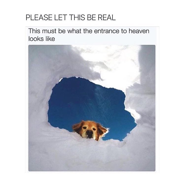 Please let this be real. This must be what the entrance to heaven looks like.