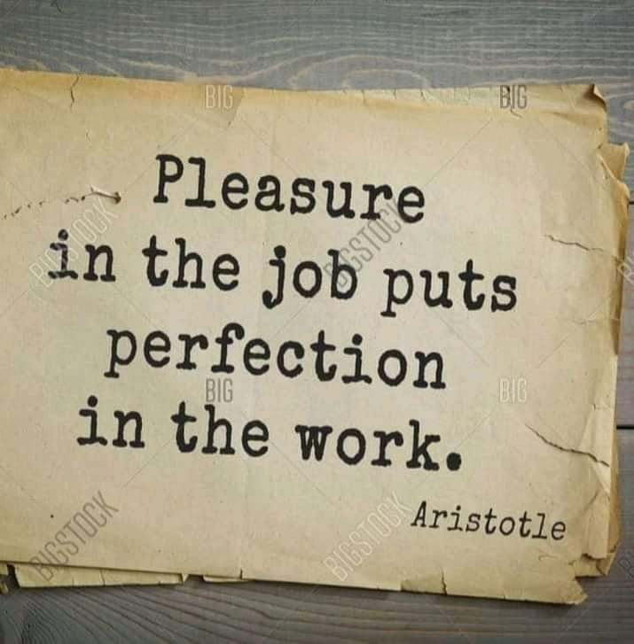Pleasure in the job puts perfection in the work. Aristotle.