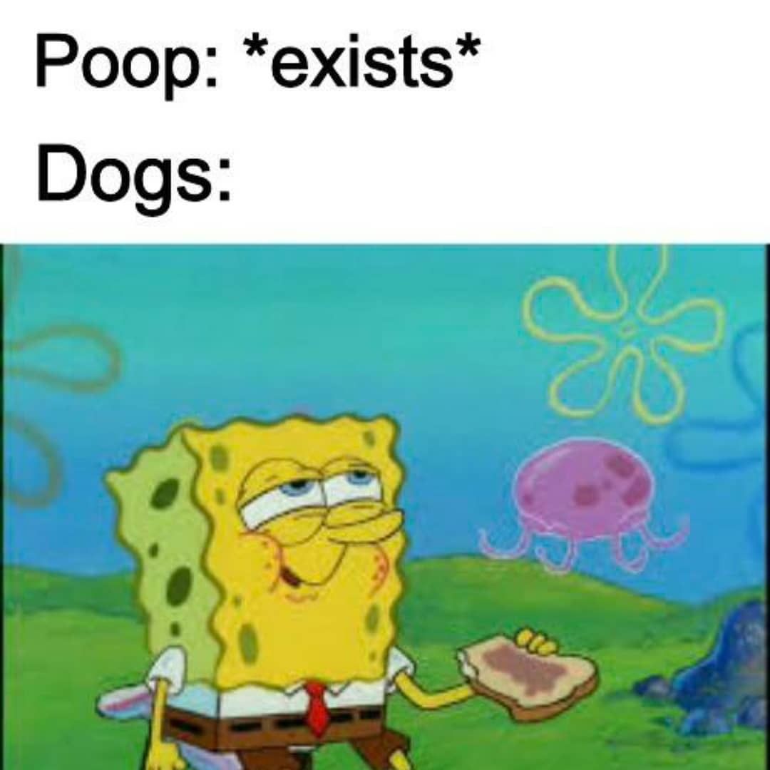Poop: Exists. Dogs: