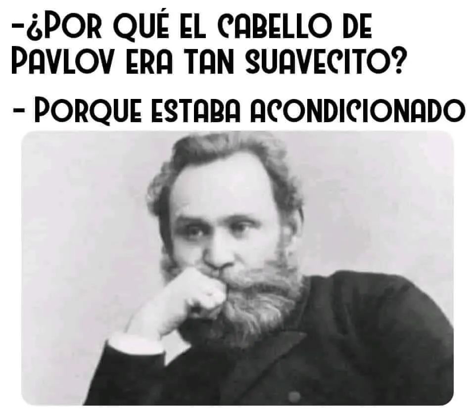 ¿Por qué el cabello de pavlov era tan suavecito? Porque estaba acondicionado.