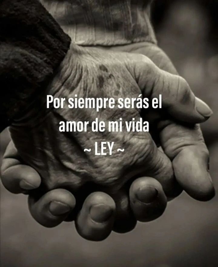 Por siempre serás el amor de mi vida. - Frases