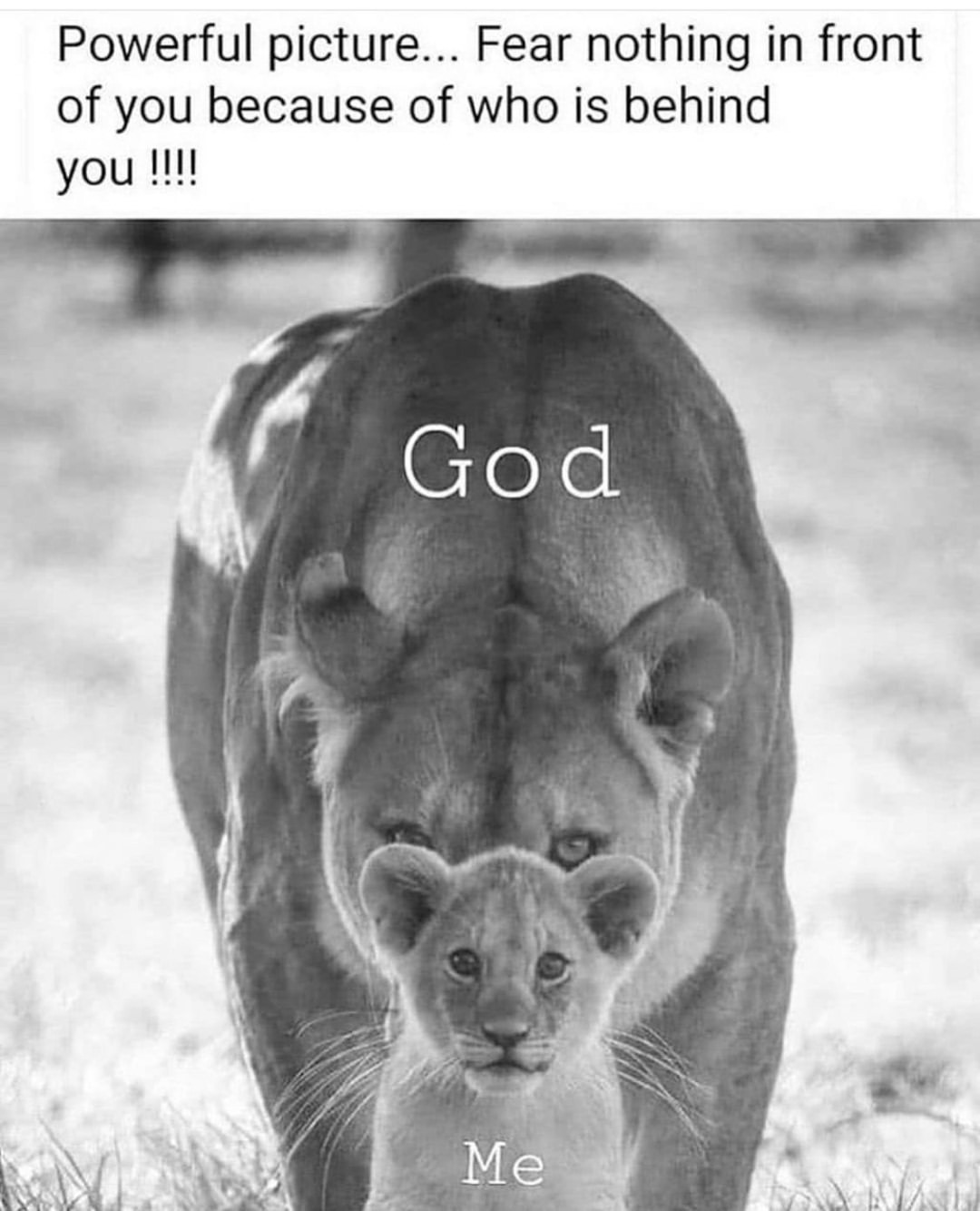 Powerful picture... Fear nothing in front of you because of who is behind you!!!! God.