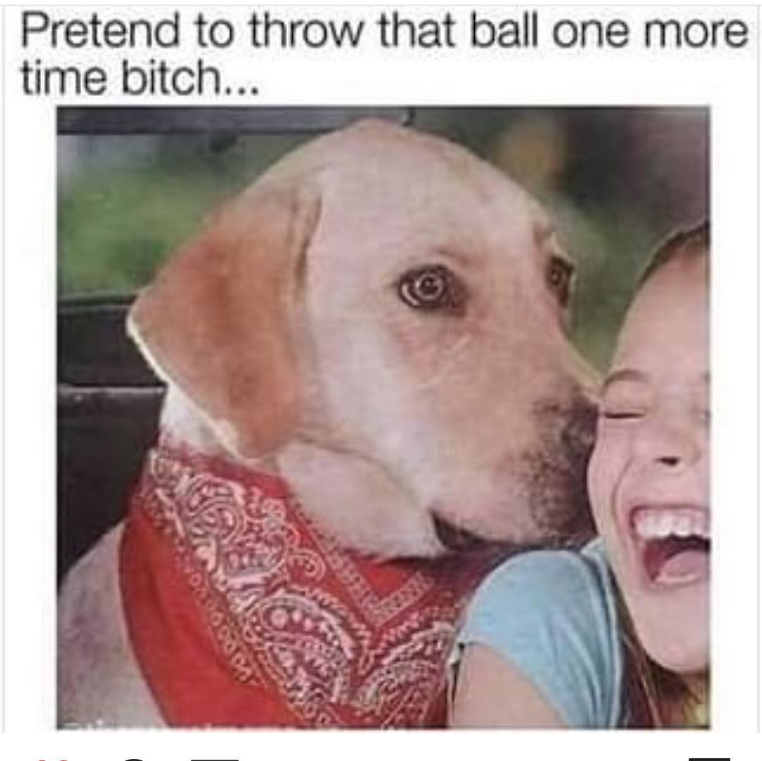 Pretend to throw that ball one more time bitch...