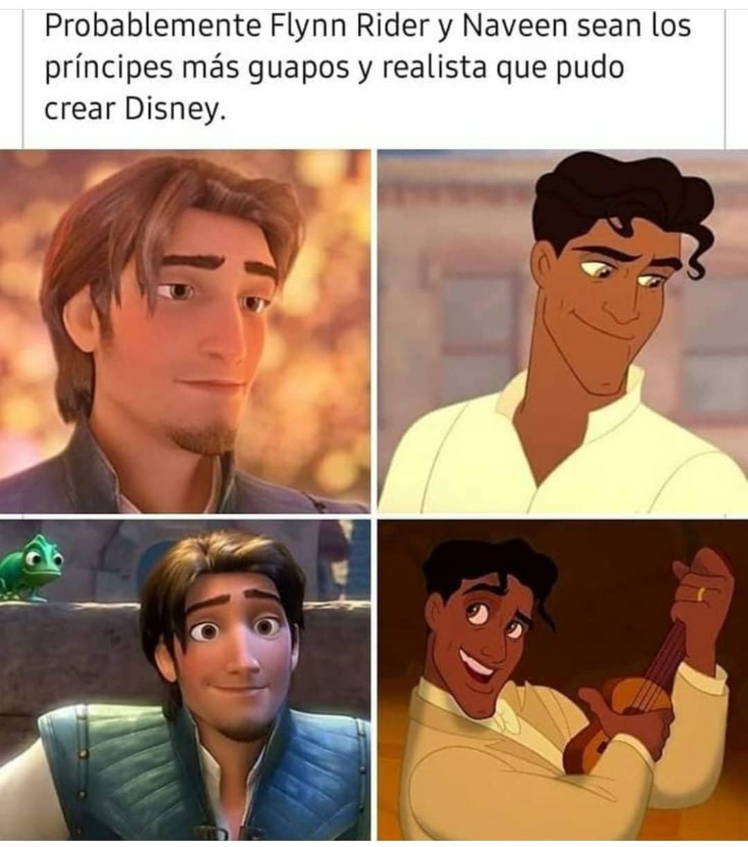 Probablemente Flynn Rider y Naveen sean los príncipes más guapos y realista que pudo crear Disney.