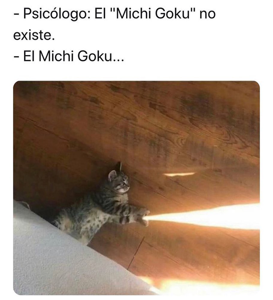 Psicologo: El "Michi Goku" no existe.  El Michi Goku...