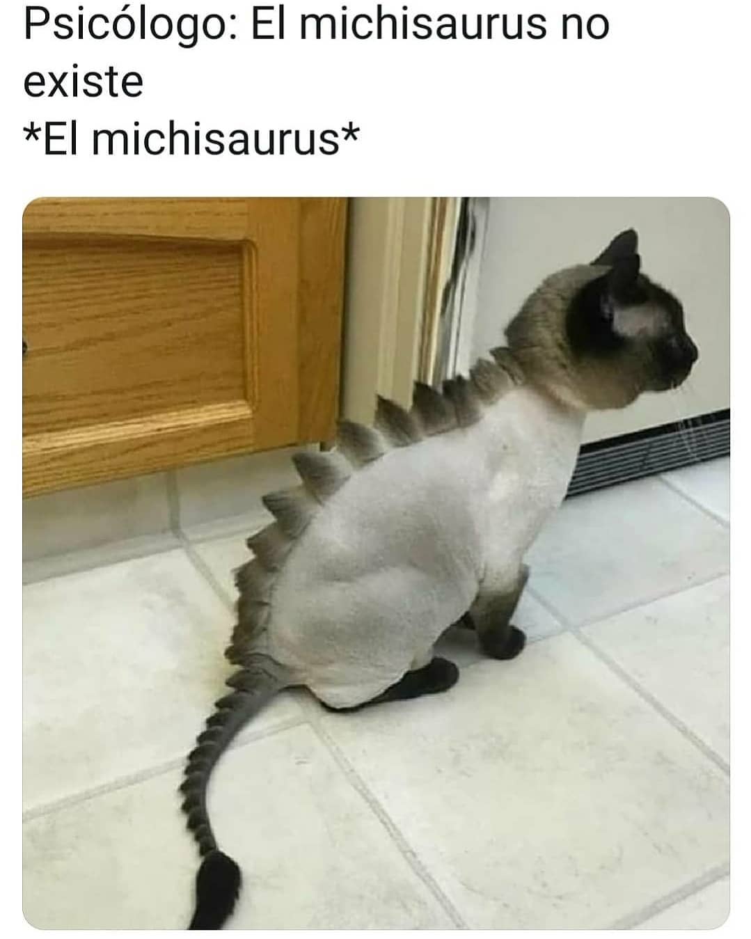 Psicólogo: El Michisaurus no existe.  El Michisaurus:
