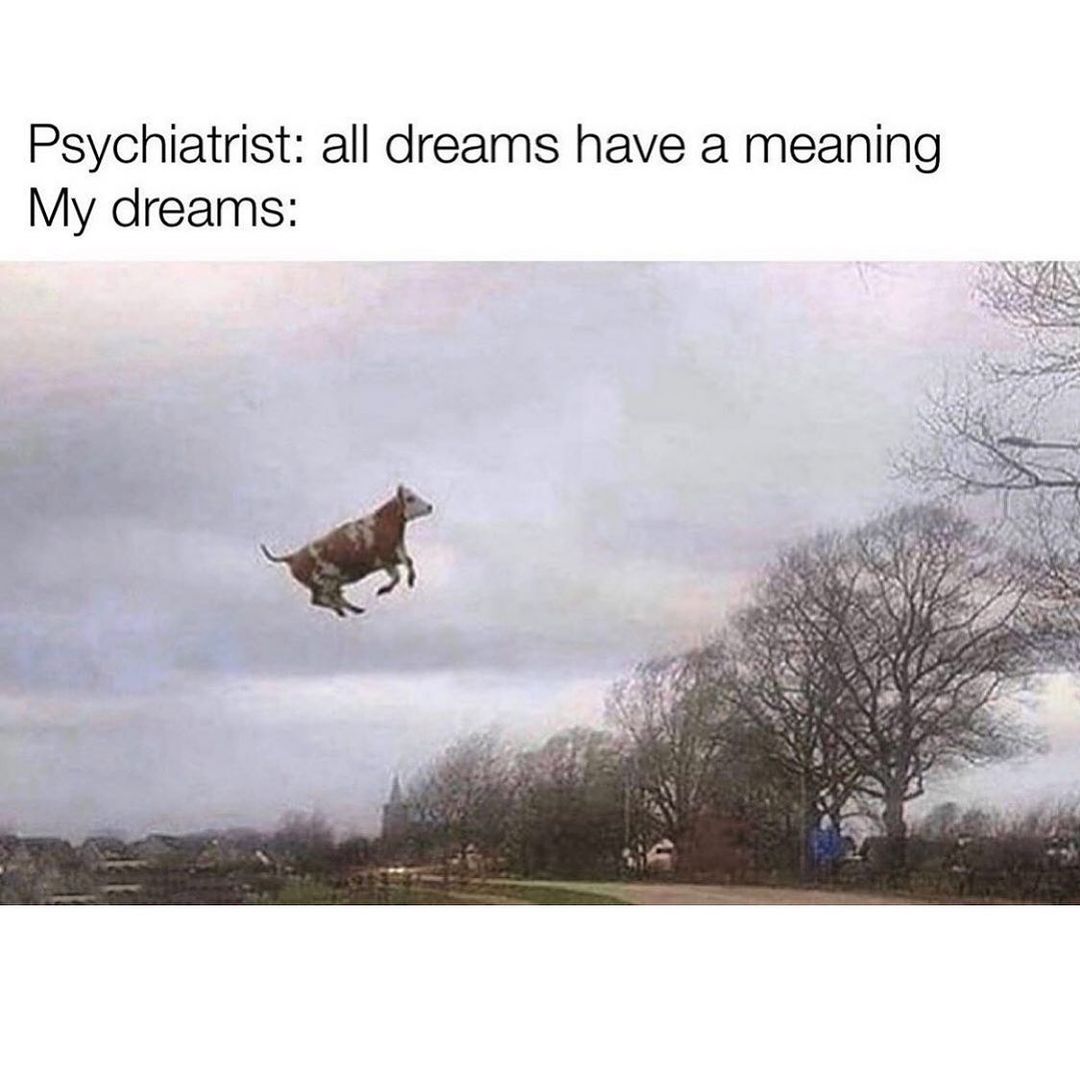 Psychiatrist: All dreams have a meaning.