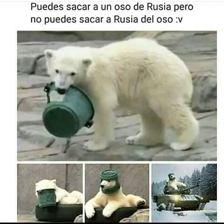 Puedes sacar a un oso de Rusia pero no puedes sacar a Rusia del oso.