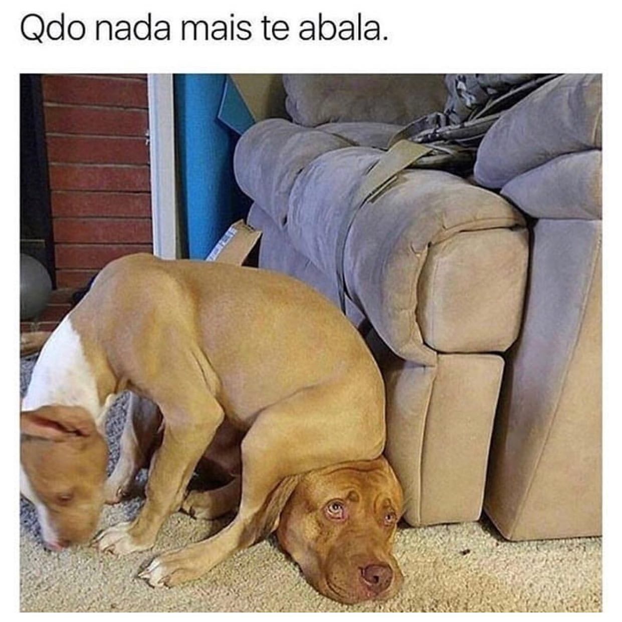 Qdo nada mais te abala.