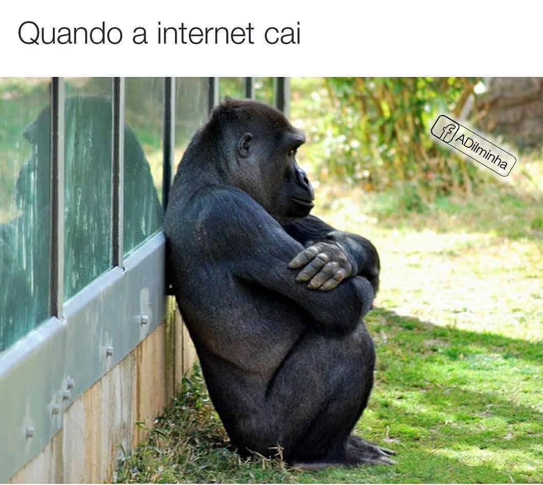 Quando a internet cai.