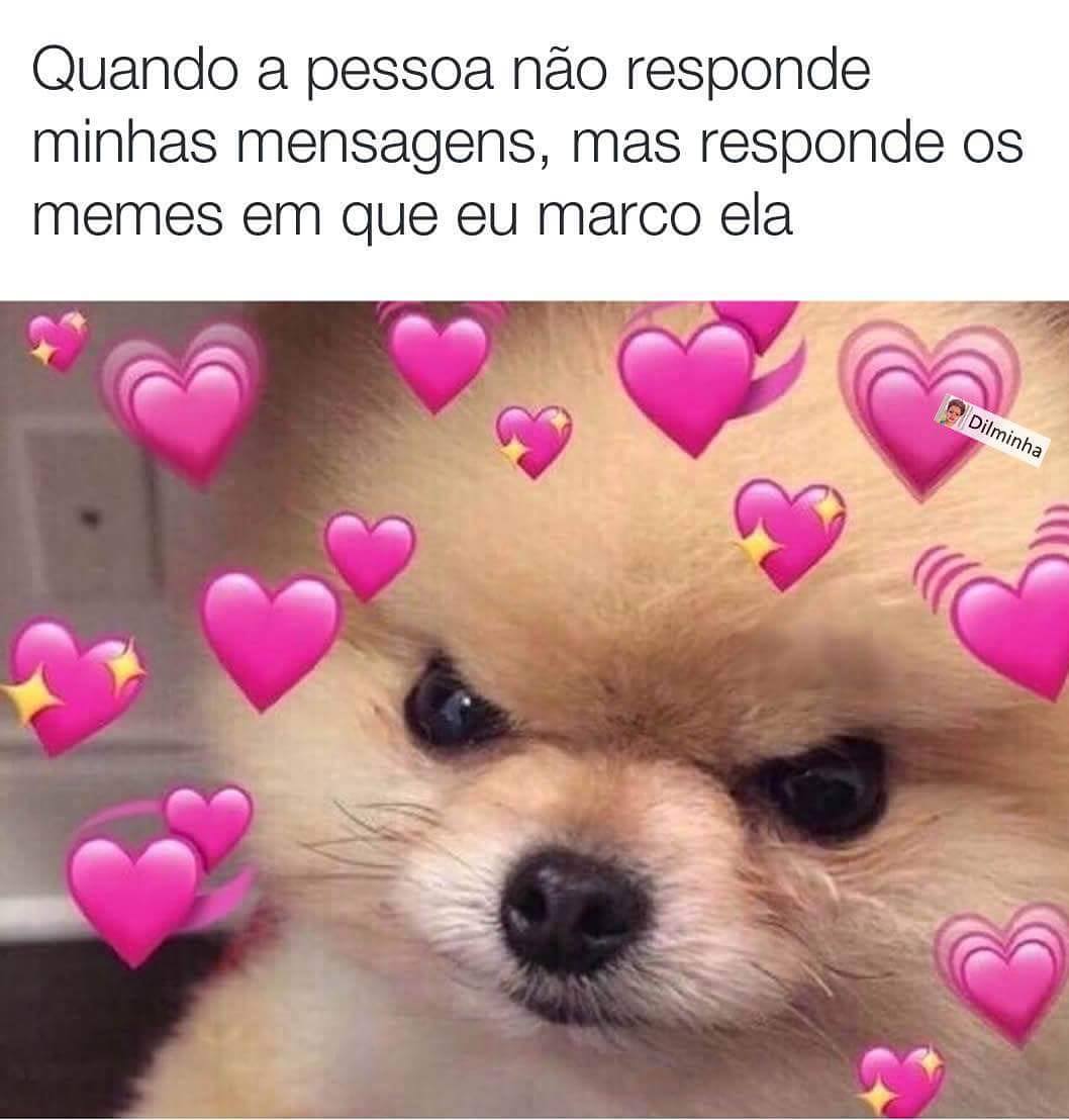 Quando a pessoa não responde minhas mensagens, mas responde os memes em que eu marco ela.