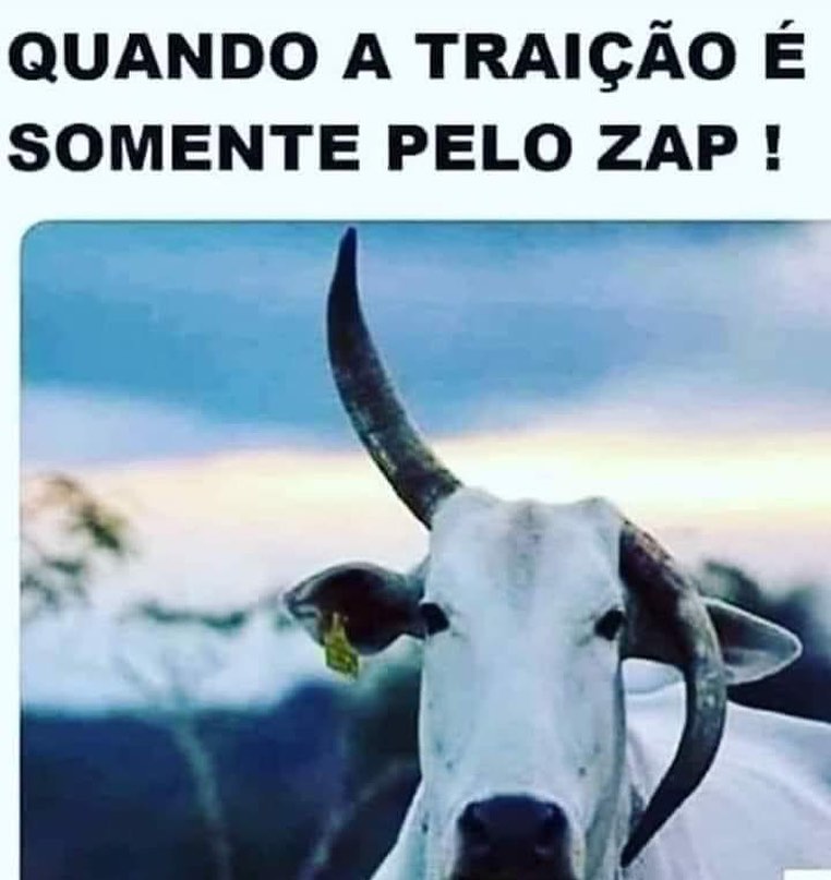 Quando a traição é somente pelo zap!