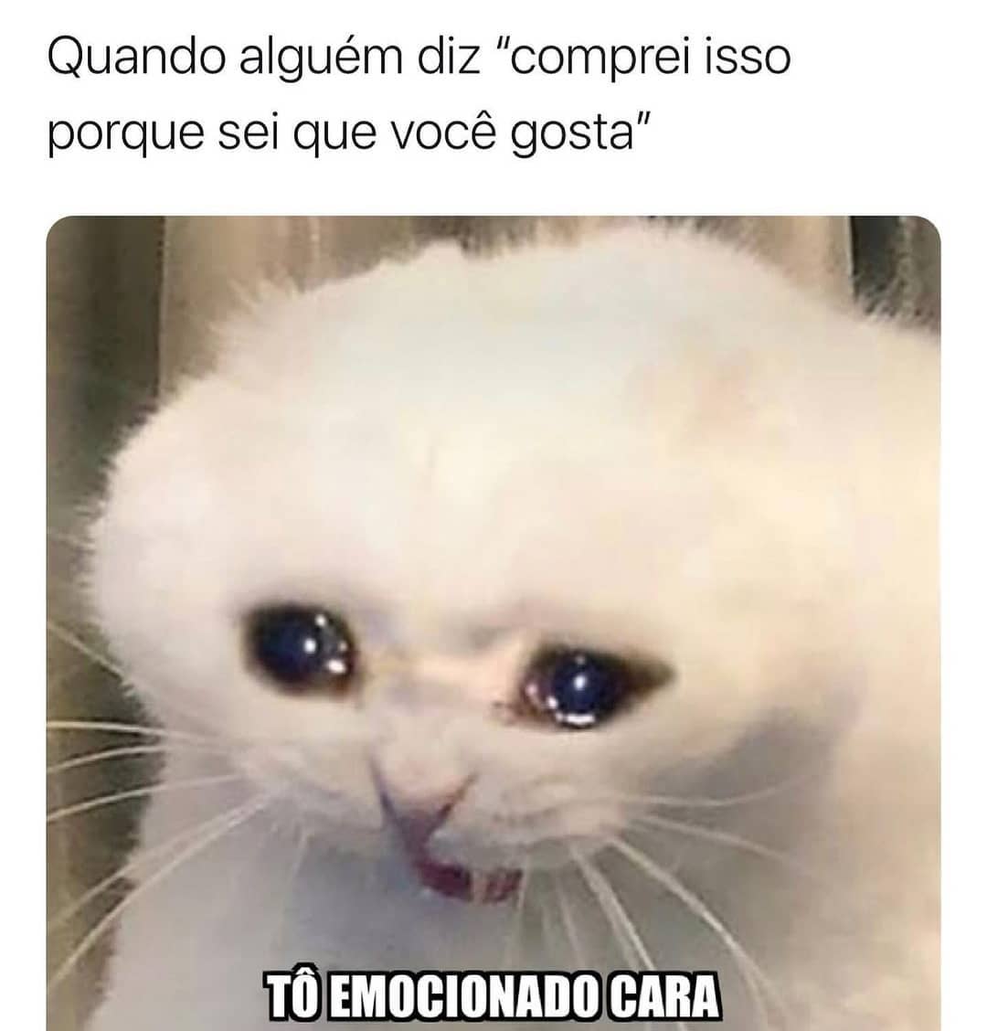 Quando Você Chega Em Casa Com Os Animaizinhos Que Você Encontrou Na Rua E Sua Mãe Não Deixa Você 9219