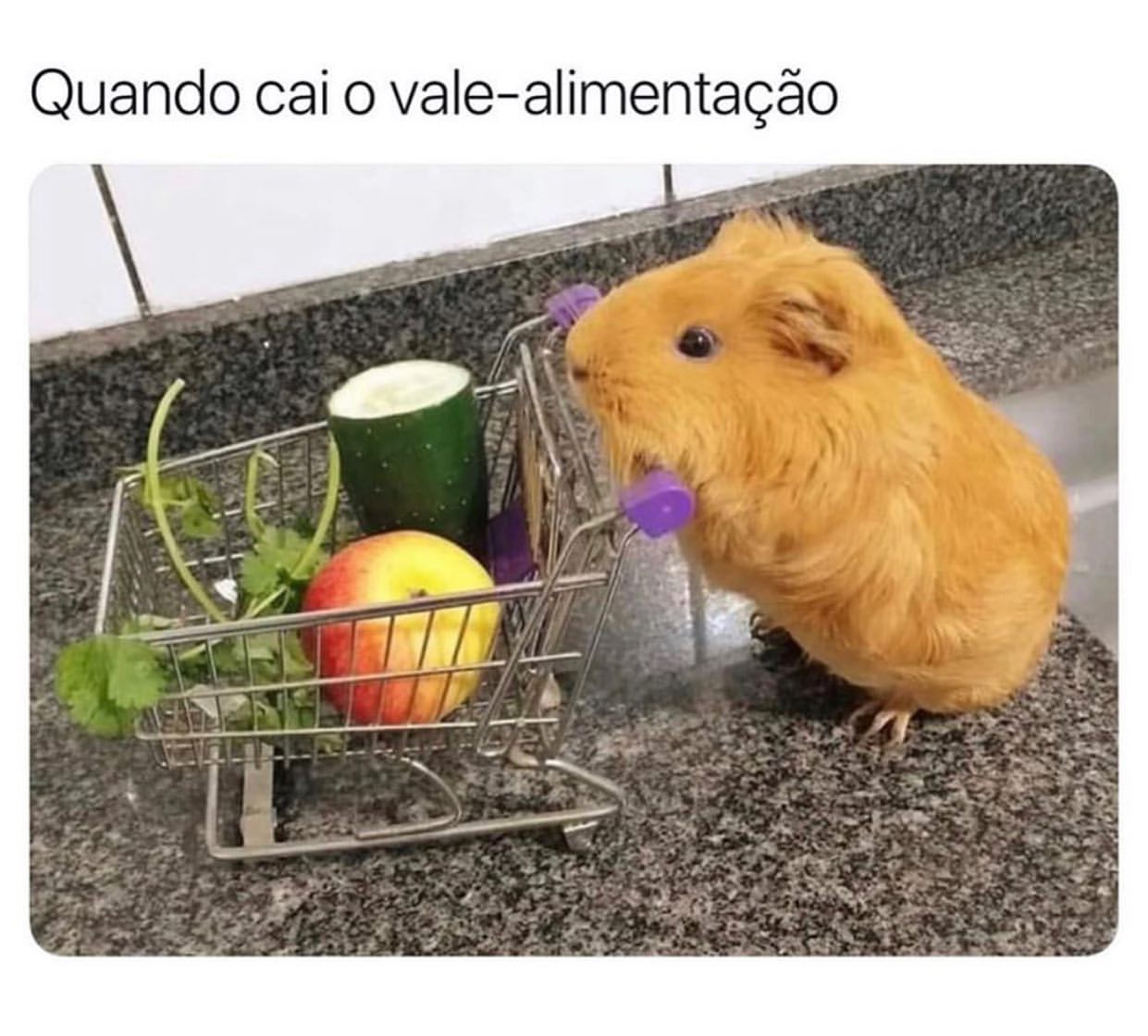 Quando cai o vale-alimentação.