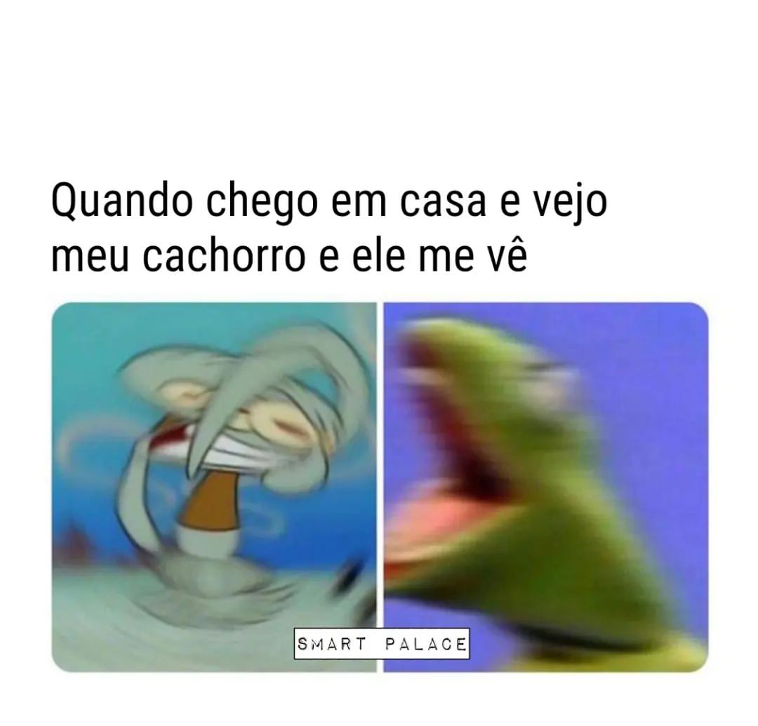 Quando chego em casa e vejo meu cachorro e ele me vê.