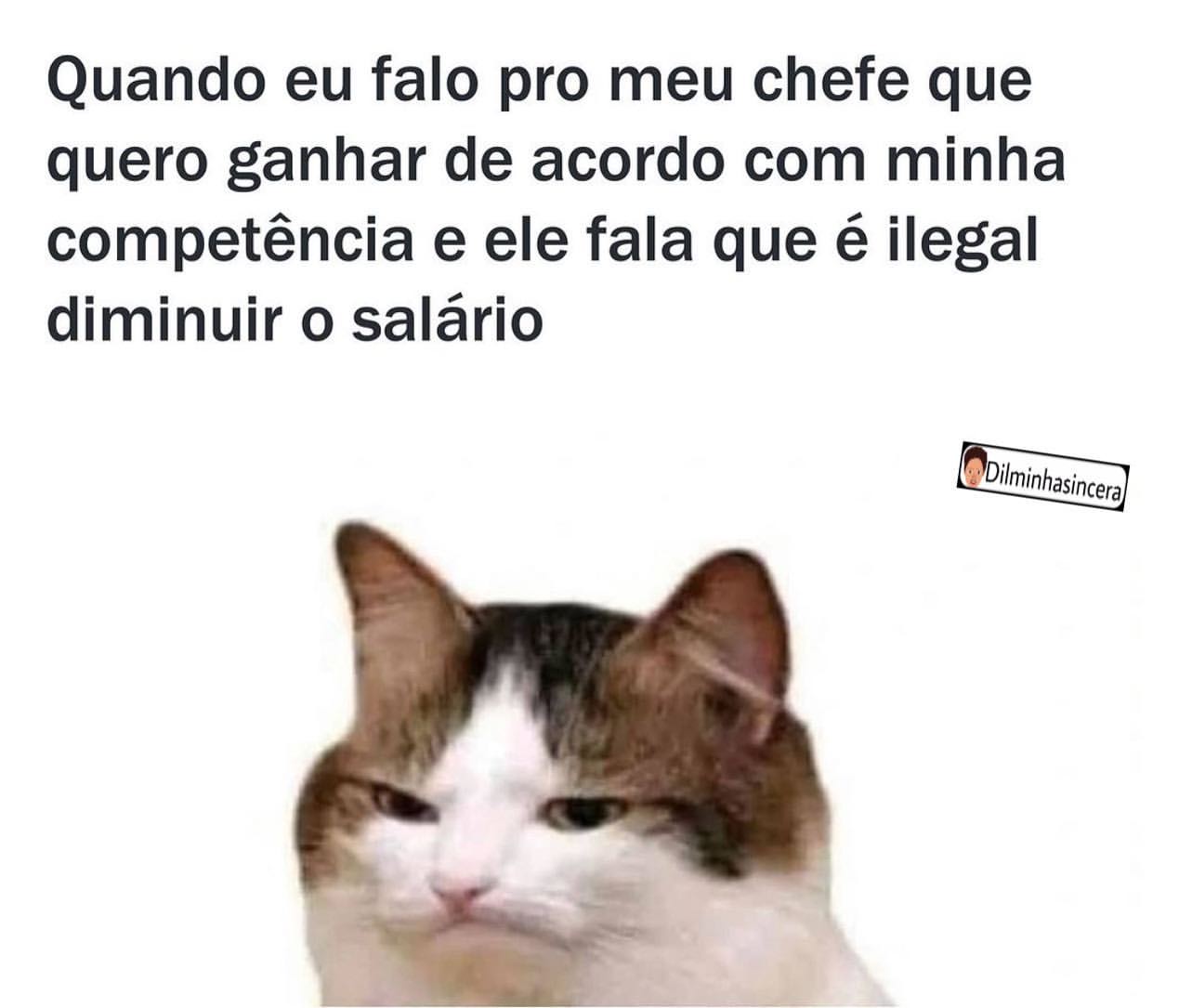 Quando Eu Falo Pro Meu Chefe Que Quero Ganhar De Acordo Com Minha 