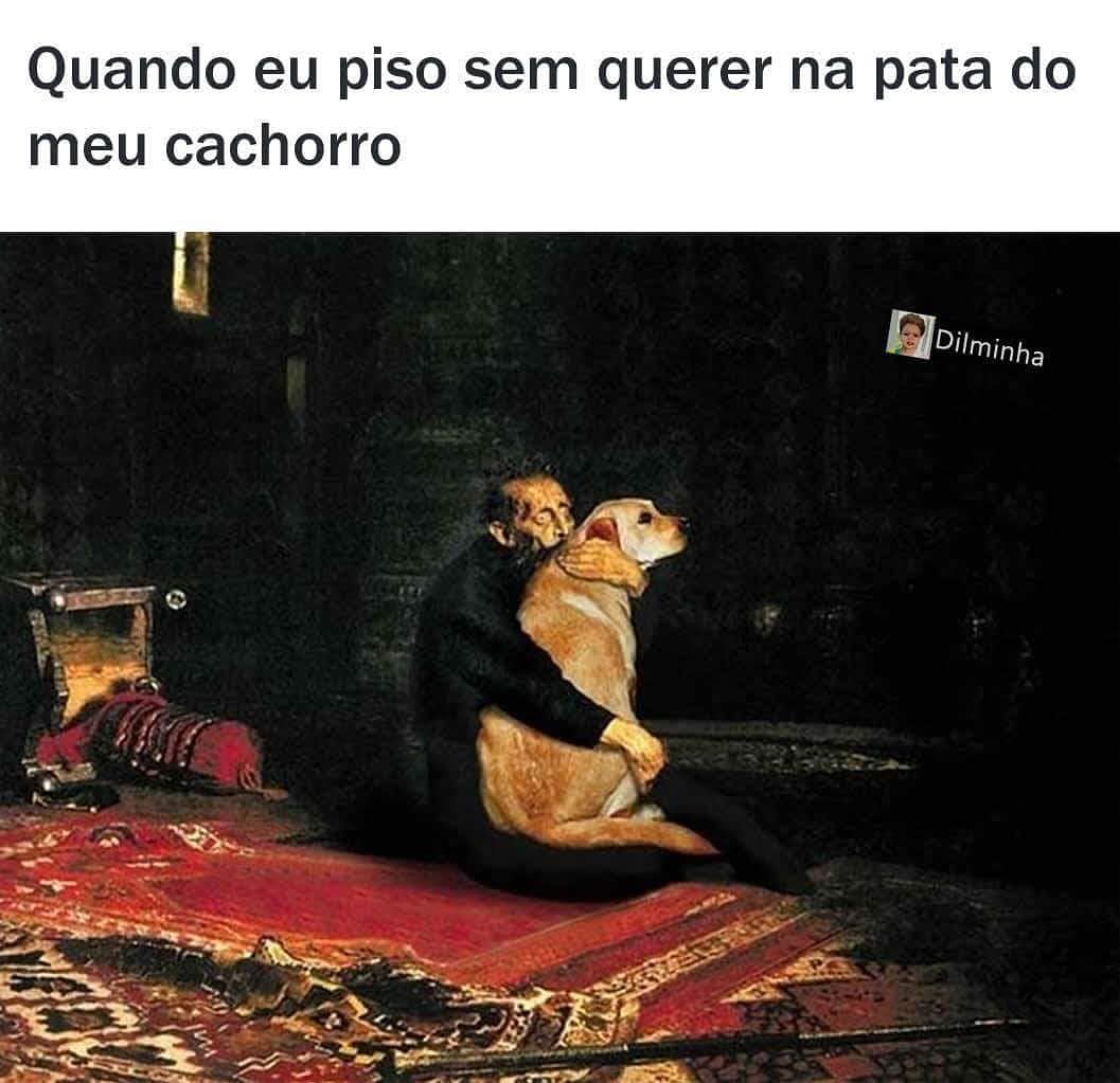 Quando eu piso sem querer na pata do meu cachorro.