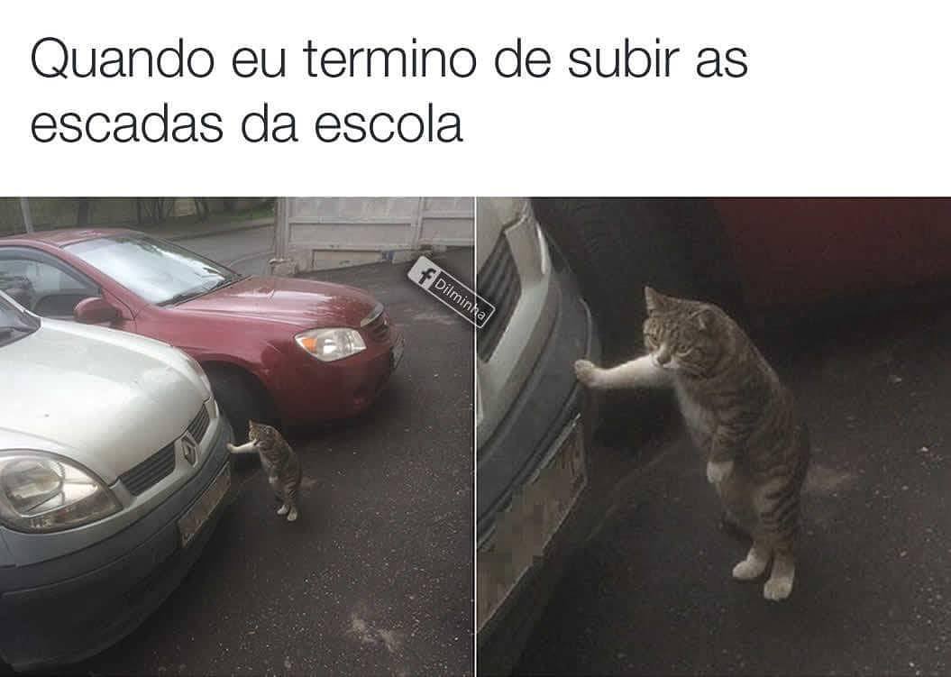 Quando eu termino de subir as escadas da escola.