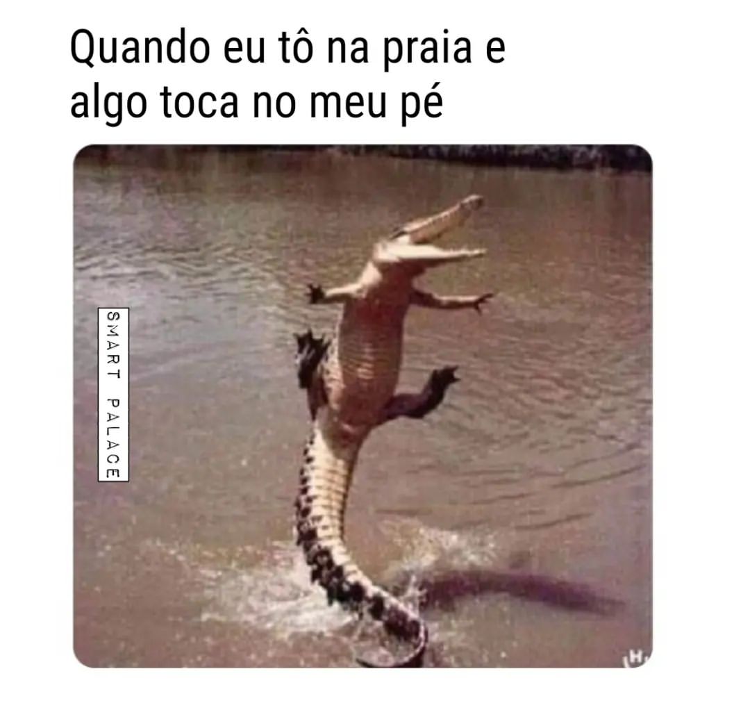 Quando eu tô na praia e algo toca no meu pé.