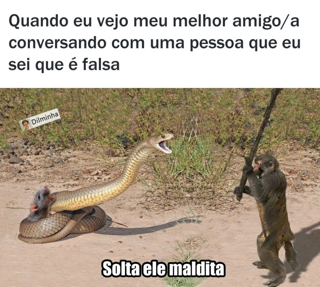 Quando Eu Vejo Meu Melhor Amigo/a Conversando Com Uma Pessoa Que Eu Sei ...