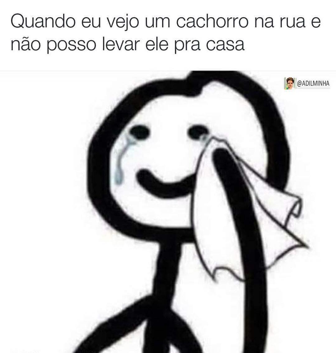 Quando eu vejo um cachorro na rua e não posso levar ele pra casa.