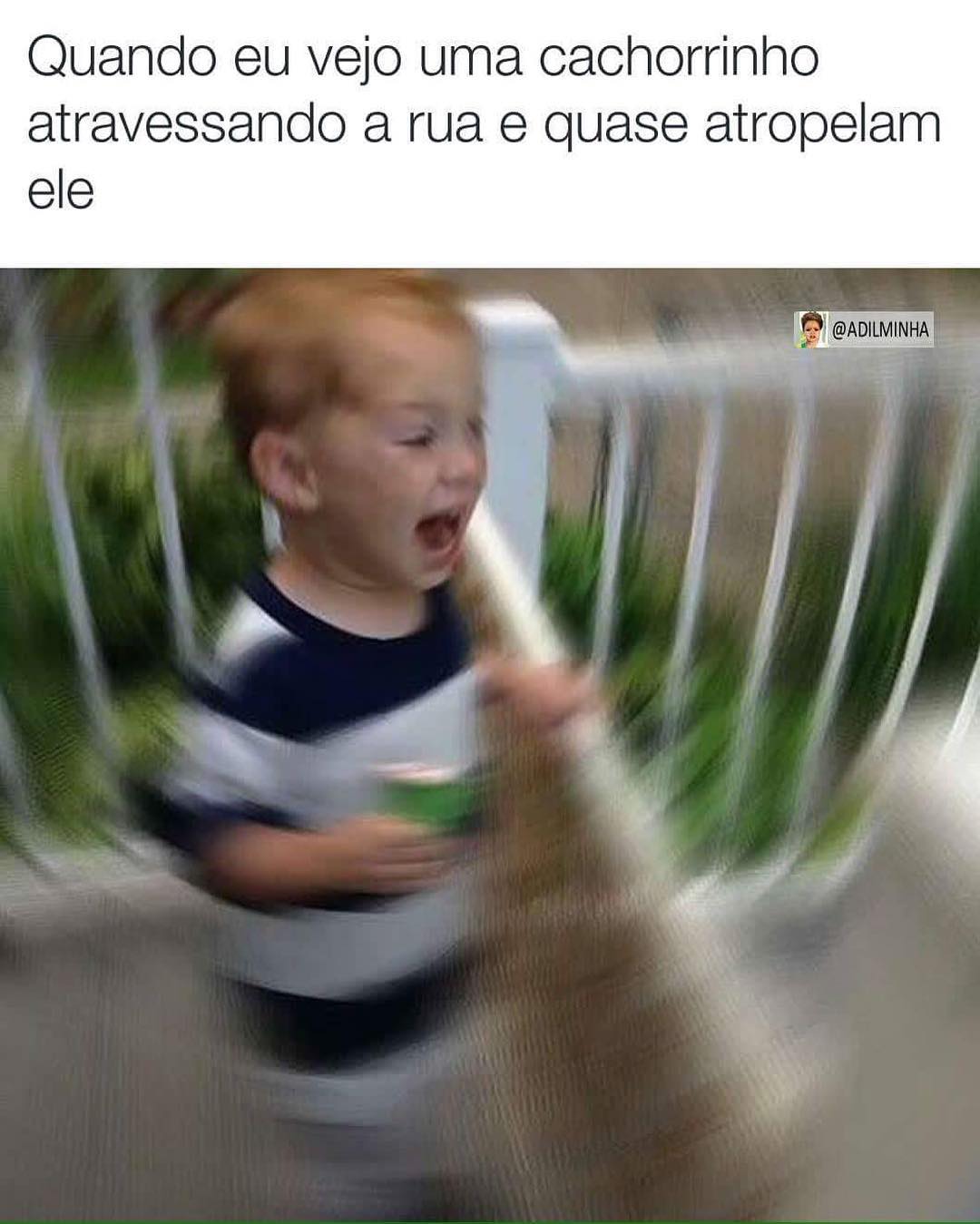 Quando eu vejo uma cachorrinho atravessando a rua e quase atropelam ele.