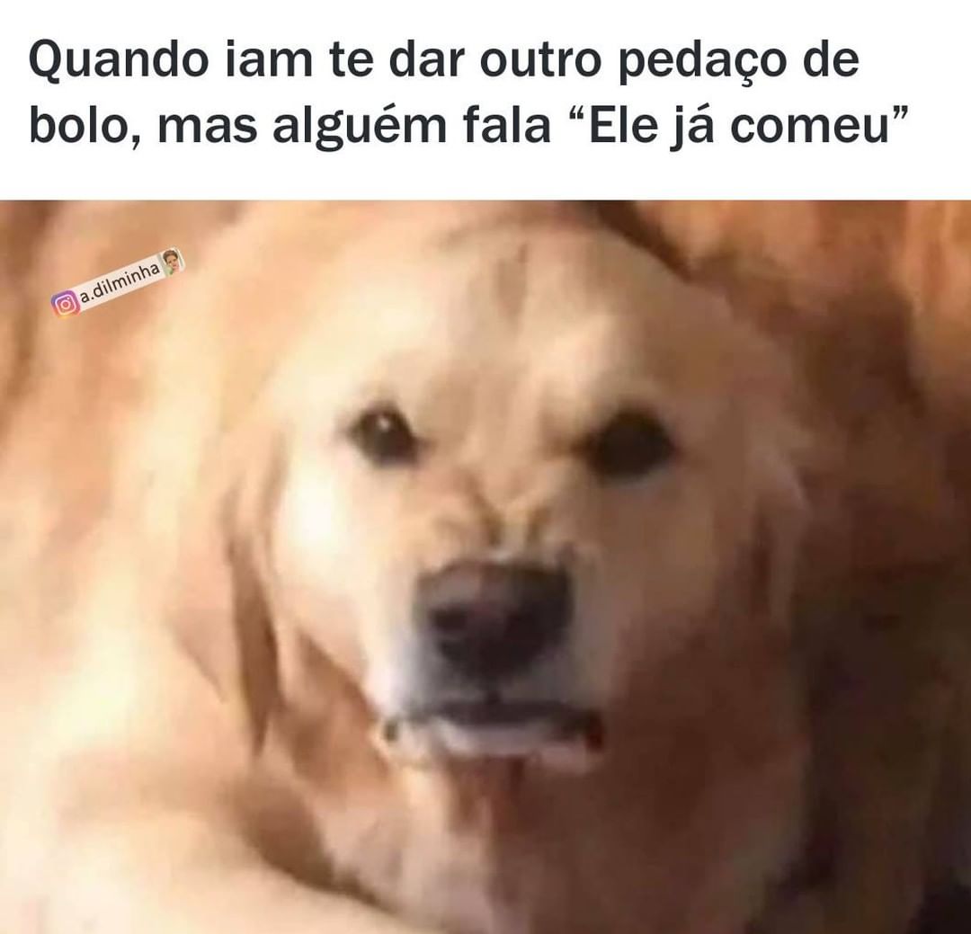 Quando iam te dar outro pedaço de bolo, mas alguém fala "Ele já comeu".