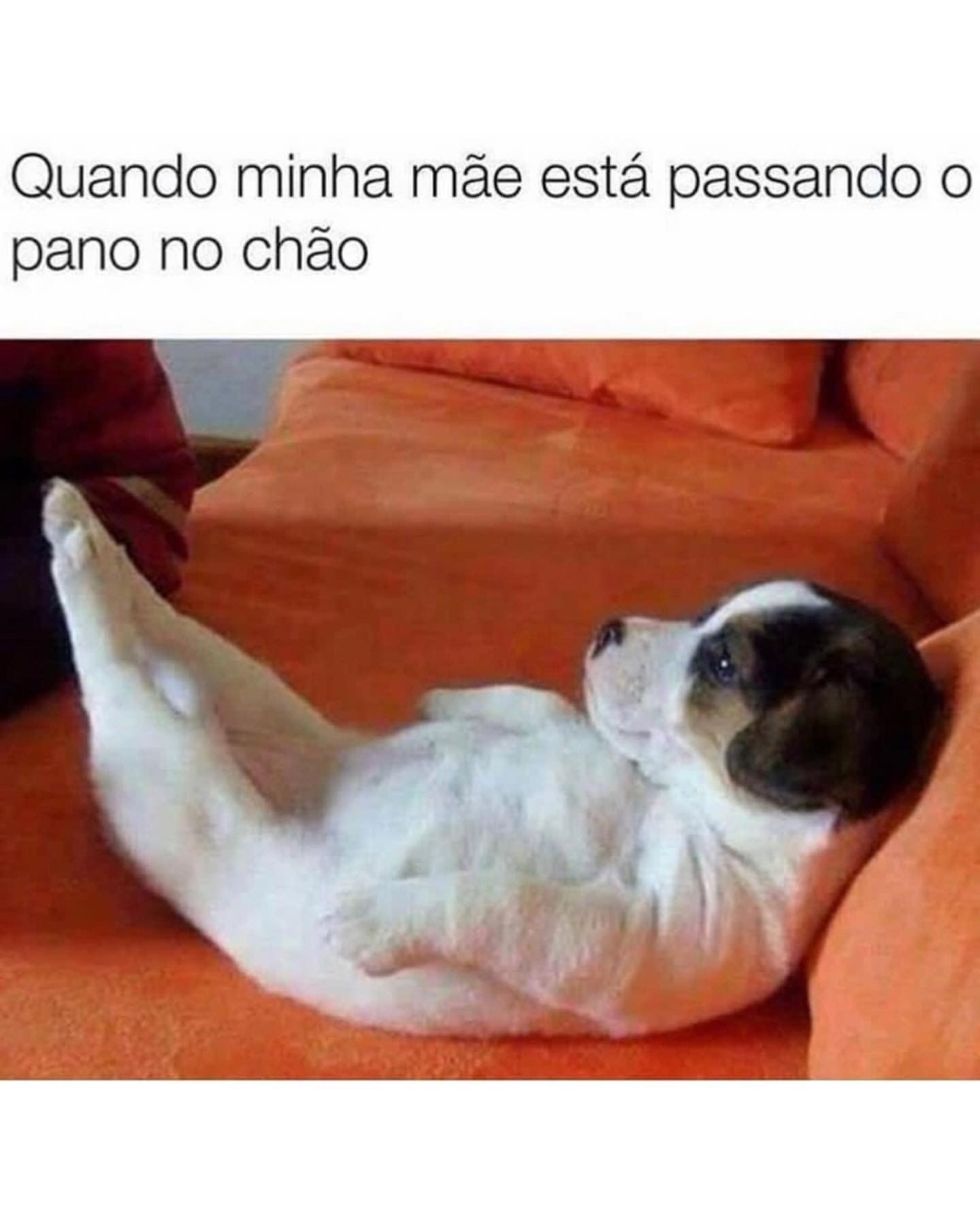 Quando minha mãe está passando o pano no chão.