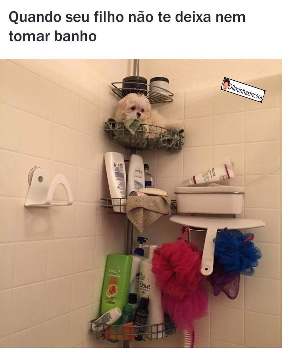 Quando seu filho não te deixa nem tomar banho.