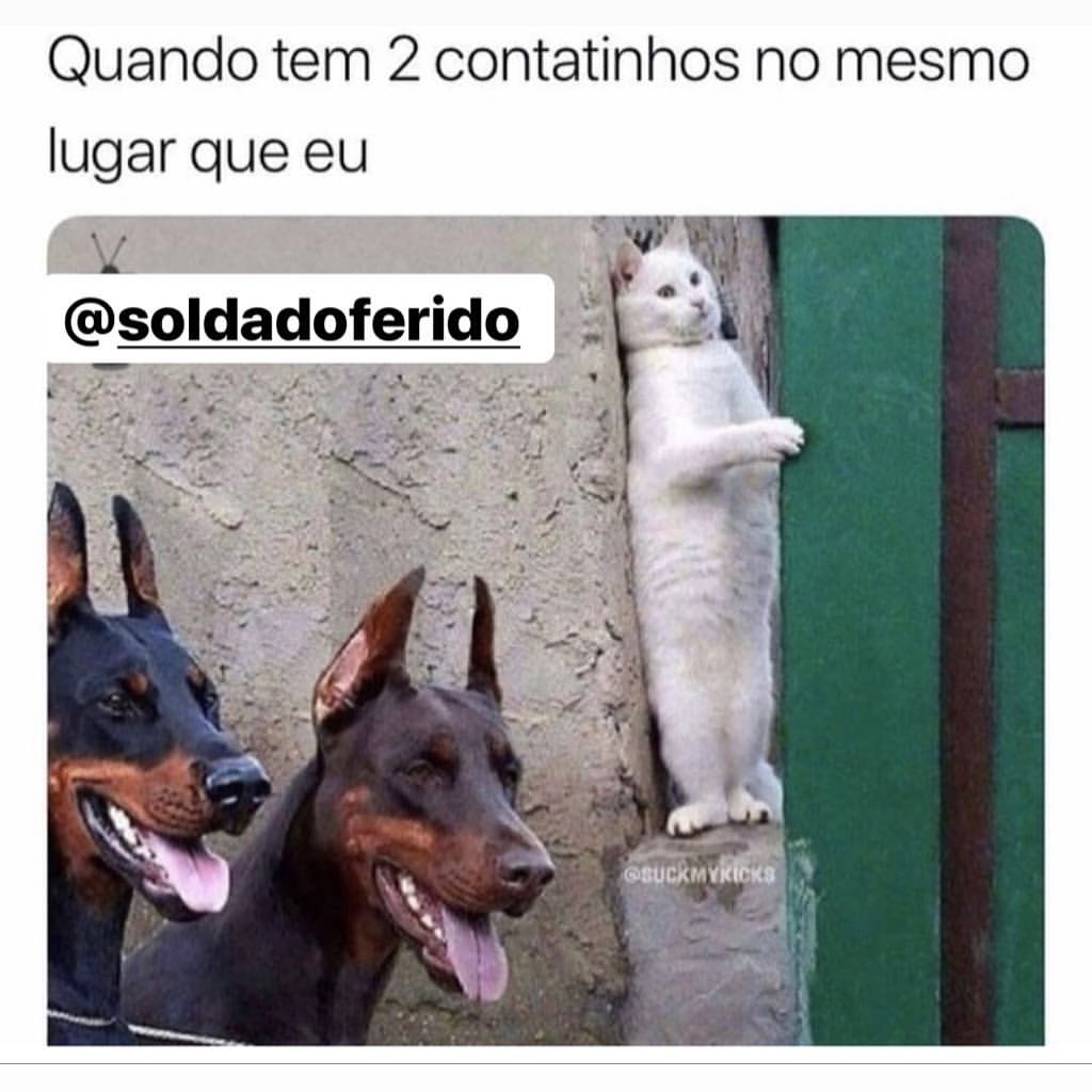 Quando tem 2 contatinhos no mesmo lugar que eu.