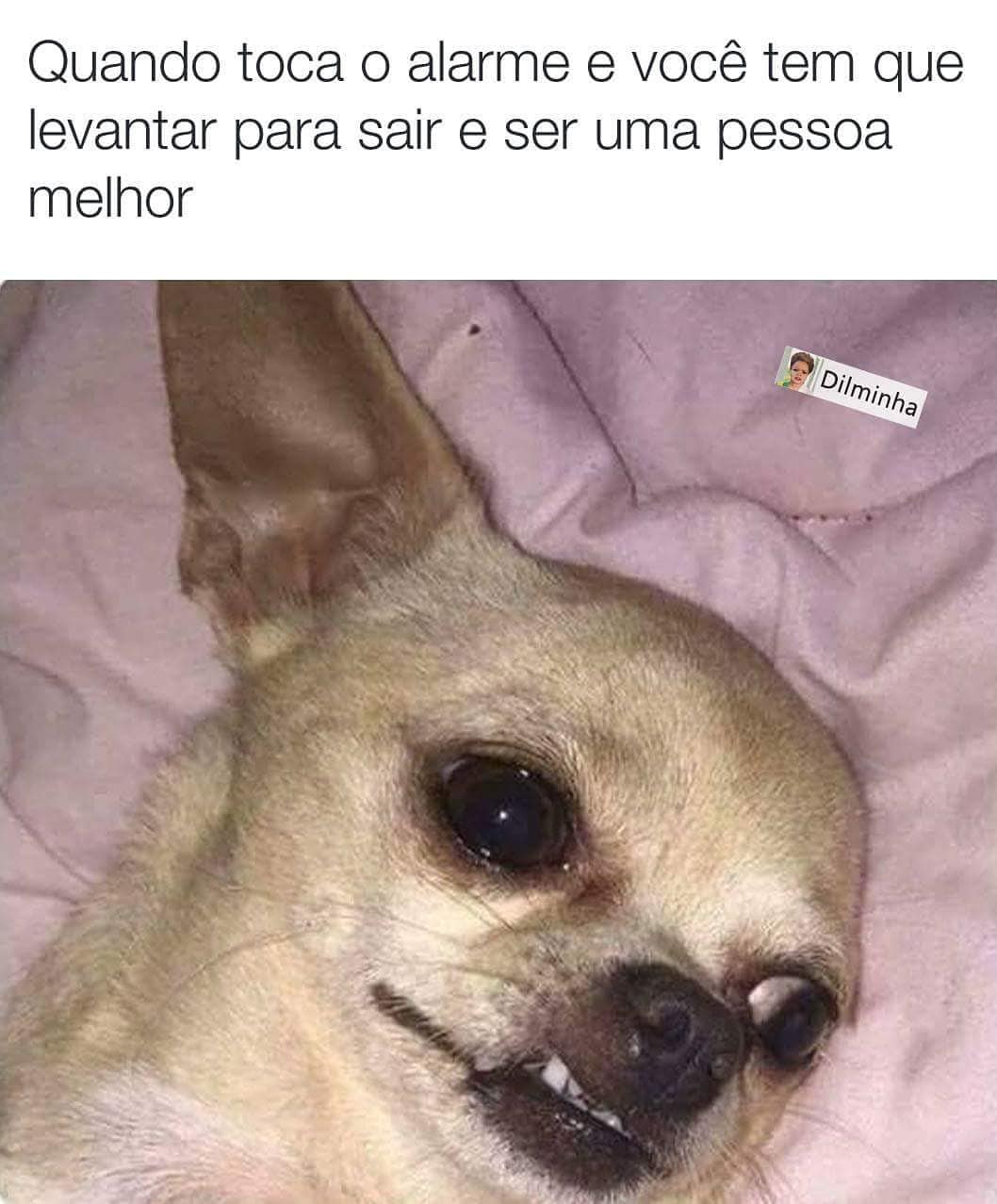 Quando Toca O Alarme E Você Tem Que Levantar Para Sair E Ser Uma Pessoa Melhor Memes 7878