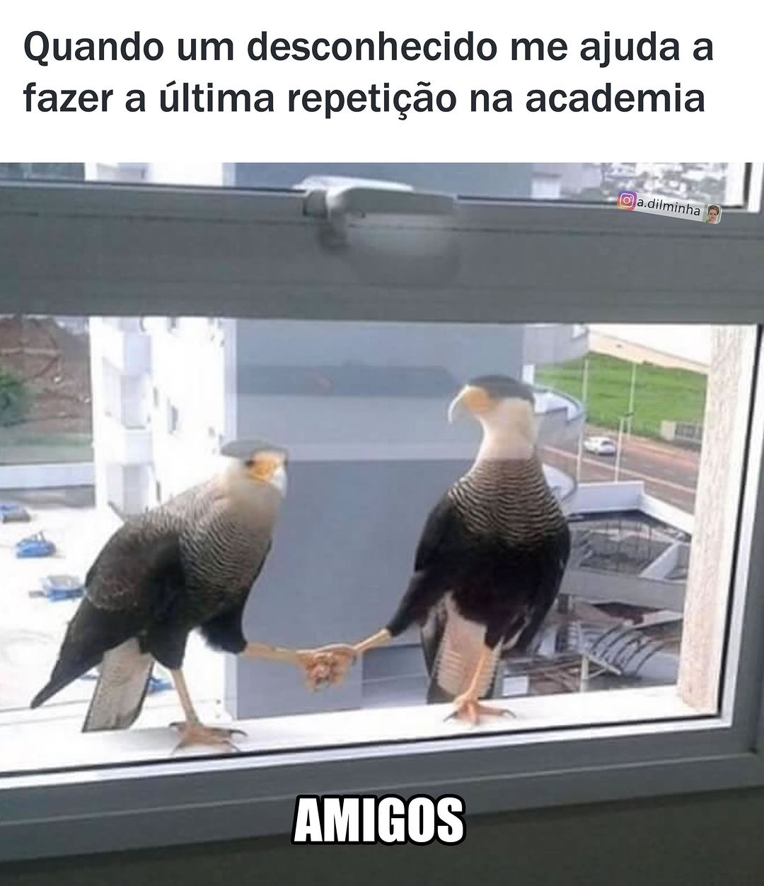 Quando um desconhecido me ajuda a fazer a última repetição na academia.  Amigos.