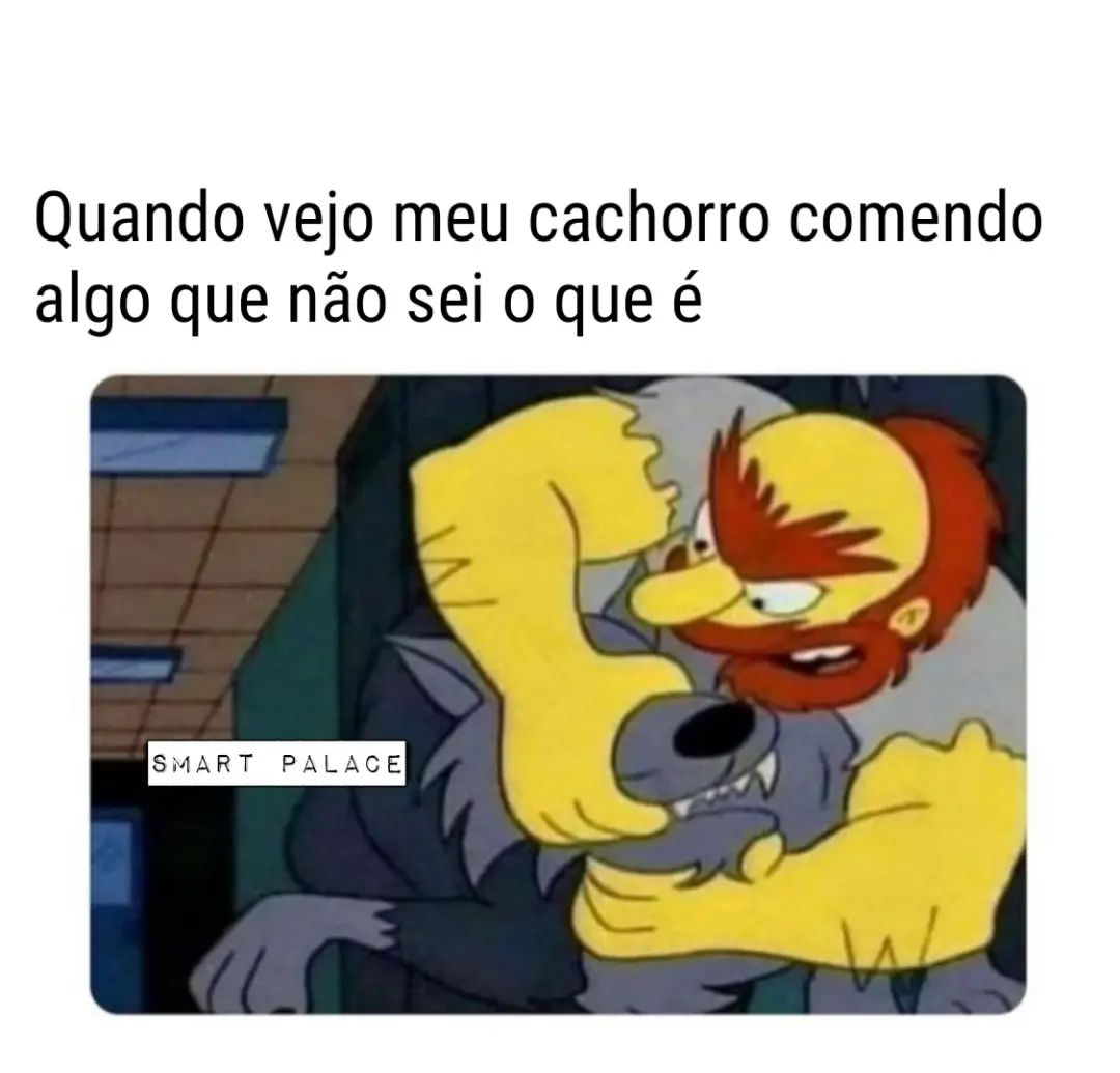 Quando vejo meu cachorro comendo algo que não sei o que é.