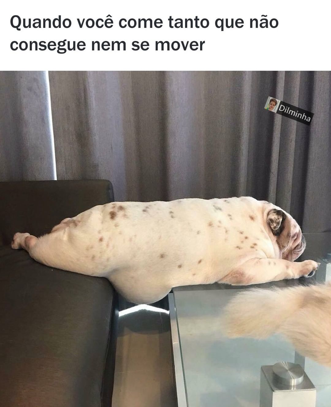 Quando você come tanto que não consegue nem se mover.