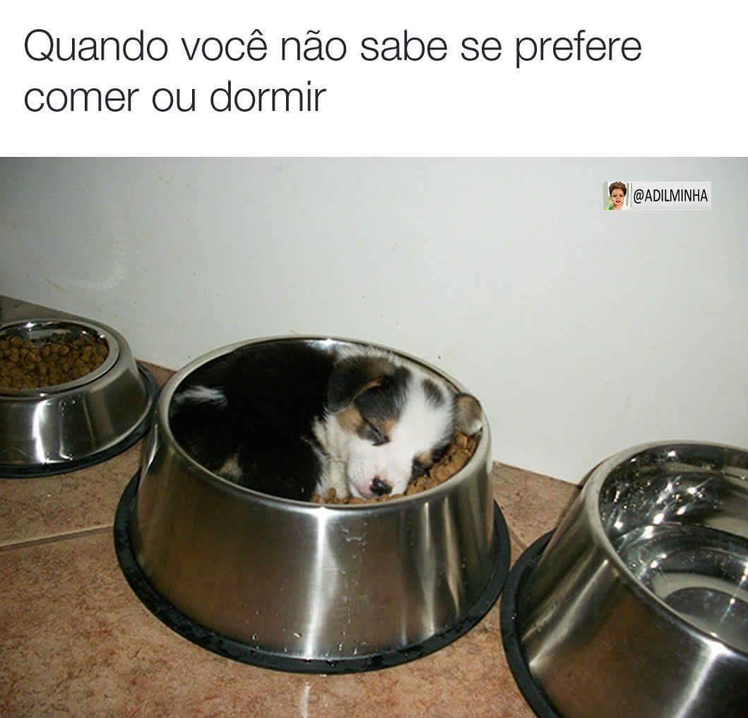 Quando você não sabe se prefere comer ou dormir.