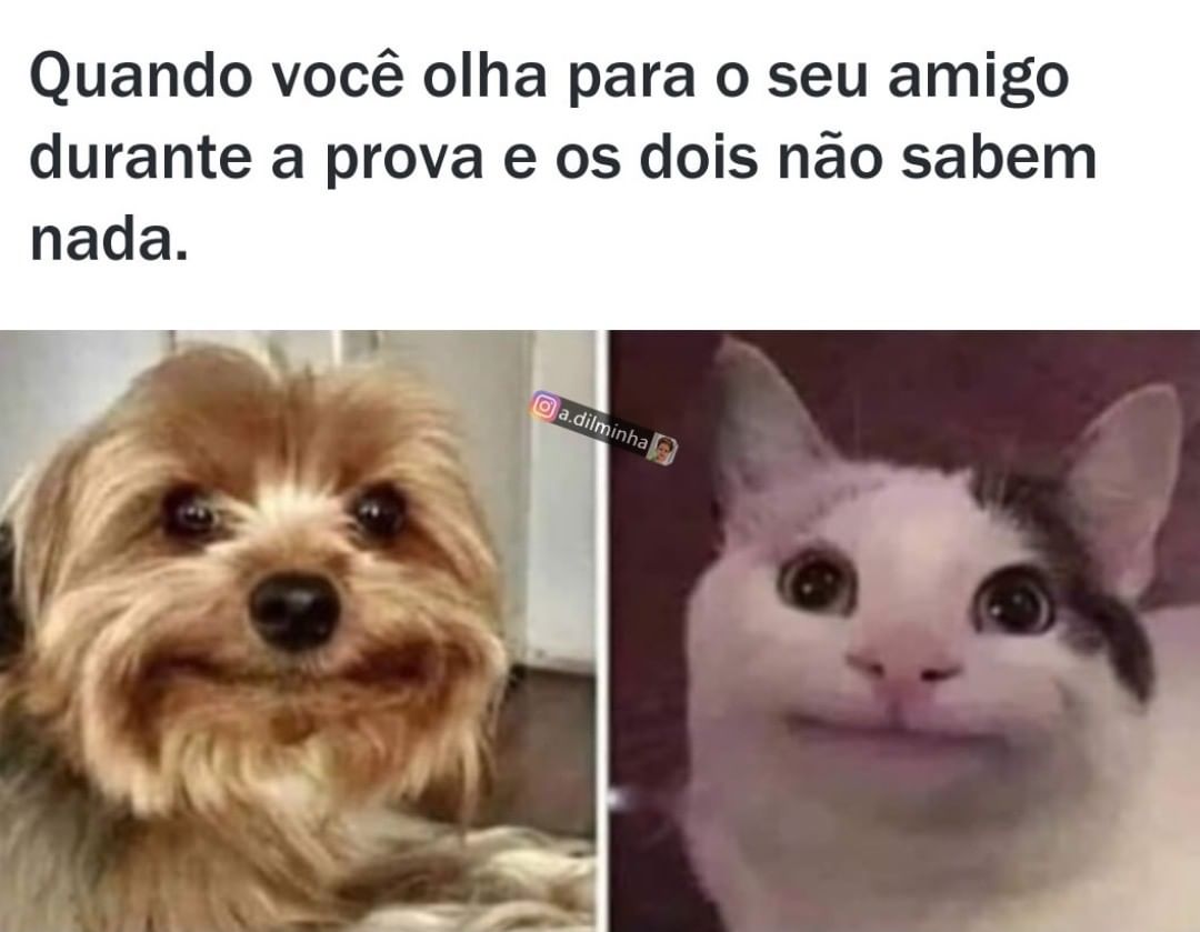 Quando Você Olha Para O Seu Amigo Durante A Prova E Os Dois Não Sabem Nada Memes 0952